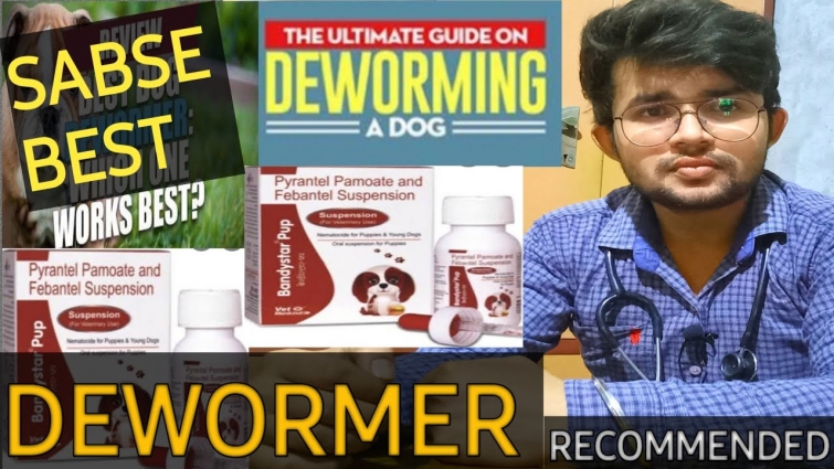 Deworming in dogs / Best Dewormer Bandystar-Pups/ To kill the worms/by Sahil Malik (vet.)/TPVISION.