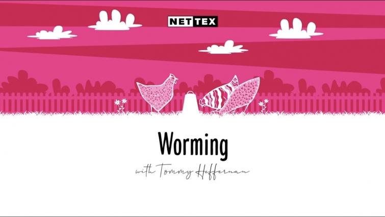 Back Yard Poultry: Worming with Tommy The Vet