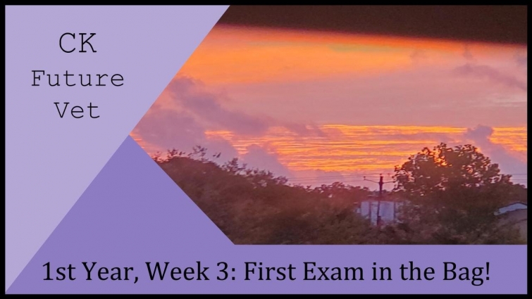 1st Year, Week 3: First Exam in the Bag! – CK Future Vet