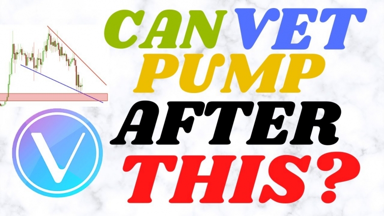 VeChain Price May DUMP 24% Before Pump | Here's WHY! But, Is VET Really in Problems? Crypto TA Only!