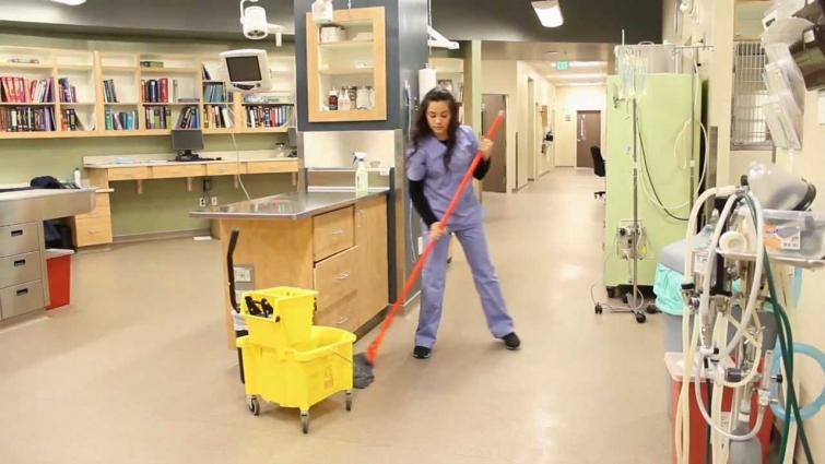VHSS Veterinary Hospital Sanitation System