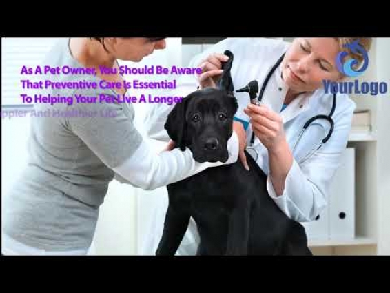 Veterinarian Explainer Promo Video