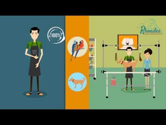 Veterinarian 2D Animated Promo Video 2