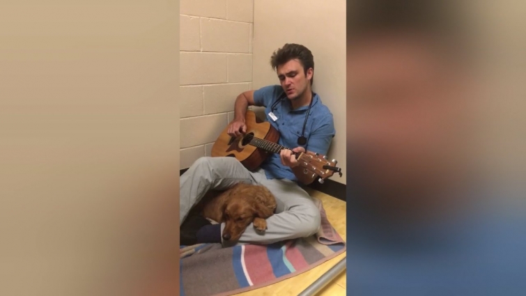 Veterinarian Serenades Dog to Relax Her Before Surgery