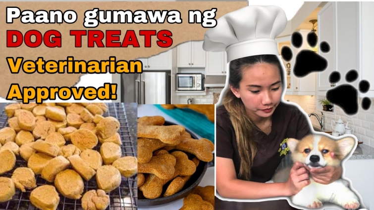 HOW TO MAKE DOG TREATS AT HOME || 5 INGREDIENTS || NAGUSTUHAN NI MARIA THE POM