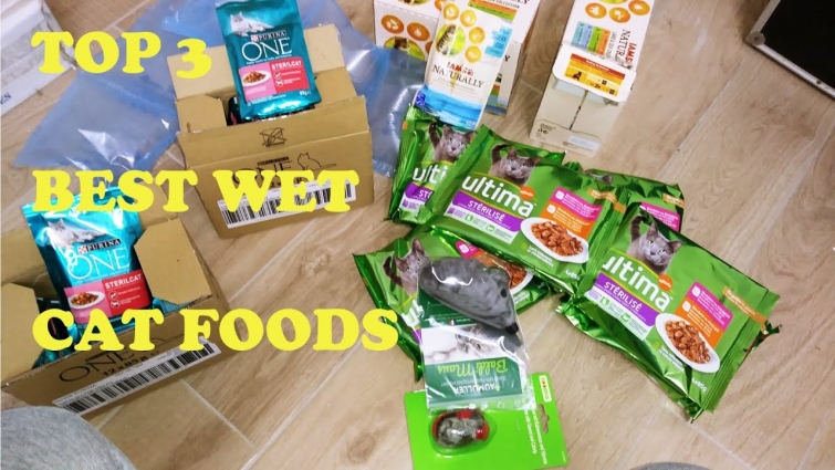 TOP 3 BEST WET CAT FOODS? WHAT IS THE BEST WET CAT FOOD?  (RECOMMENDED BY SOME VETS)