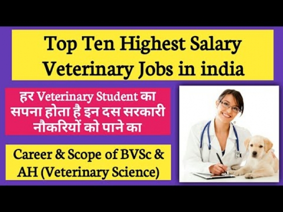 Top Ten Highest Salary Veterinary Jobs in India |Career, Jobs & Scope of BVSc & AH|Agriculture & GK