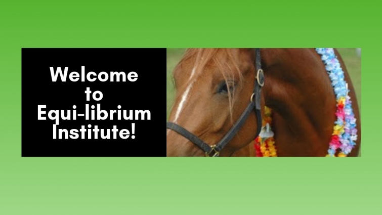 Welcome to Equi-Librium Institute!