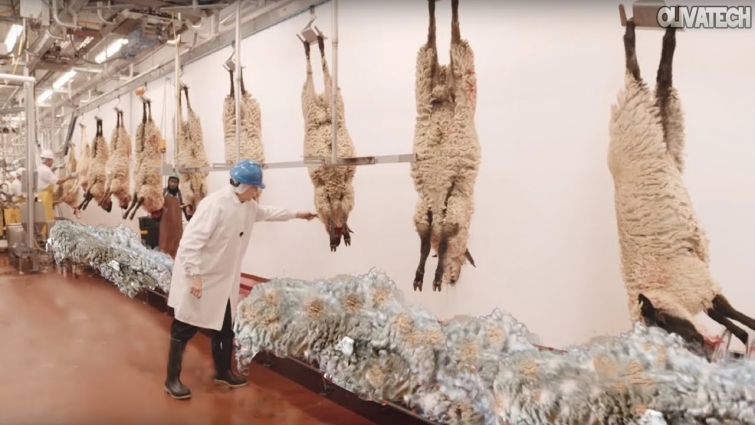 How to Harvesting Wool // Amazing Sheep Factory // Wool Processing Mill