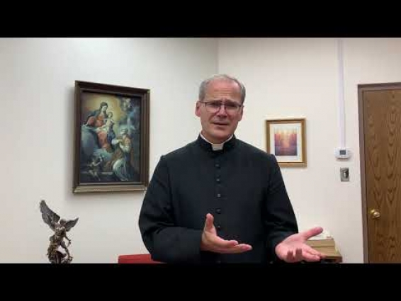 Q & A with Fr. Steven – Part 37 – Is it wrong to put pets down?