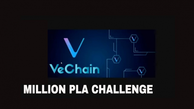 #VET Massive Ecosystem. #PLA The Million Challenge $100 for a Million Get Ready #CryptoRetirement