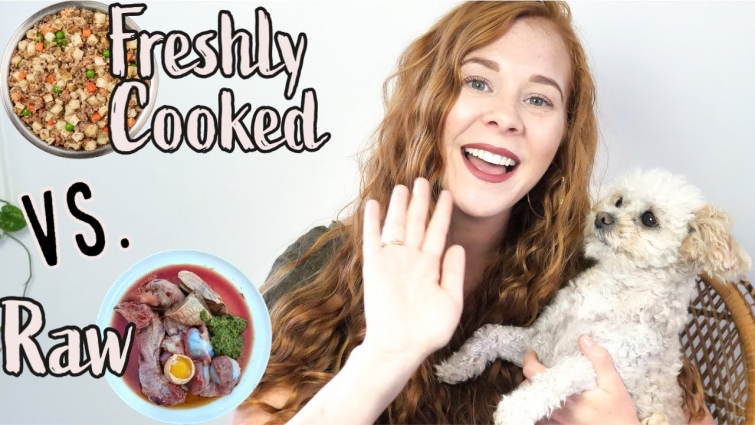 HEALTHIER DOG FOOD ALTERNATIVES TO KIBBLE | FRESHLY COOKED Vs. RAW DOG FOOD + Maddie's diet update🐶🐾