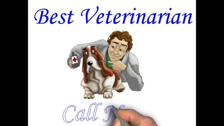 Best Veterinarian FREE Animation Video Maker