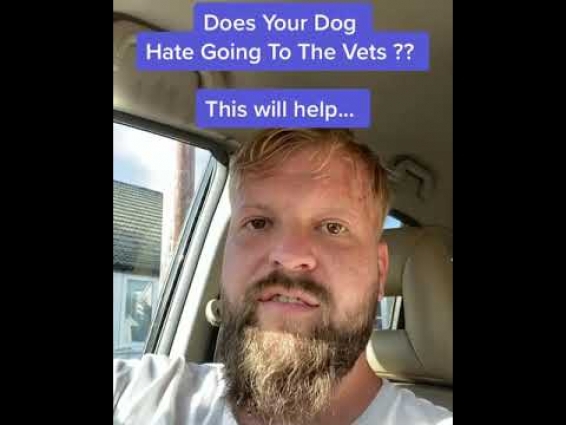 Vet Problems ??? Problem Solved.