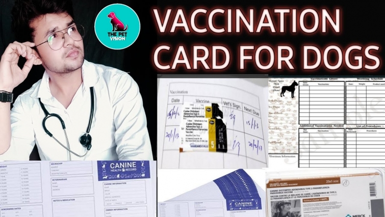 Vaccination card / full details / how to fill it./by sahil malik (vet.)/ THE PET VISION