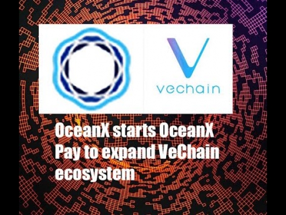 OceanEx starts OceanEx pay to expand VET ecosystem