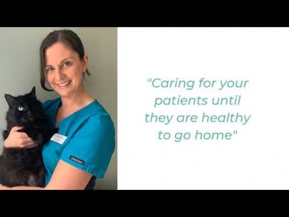 Linnaeus Veterinary Team! What I love about being a nurse!