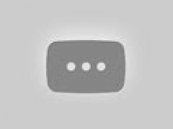 Intro Video Competition – Little Vet Girl