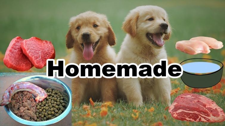 Homemade Dog Food || Ingredients || Vet Furqan Younas