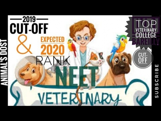 Veterinary NEET 2020 part-2️⃣ cut-off 2019 & expected 2020neet rank | IVRI Bareilly | BVSC & Ah 🐕
