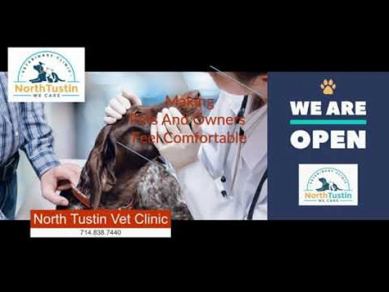 Branded  Veterinarian Video