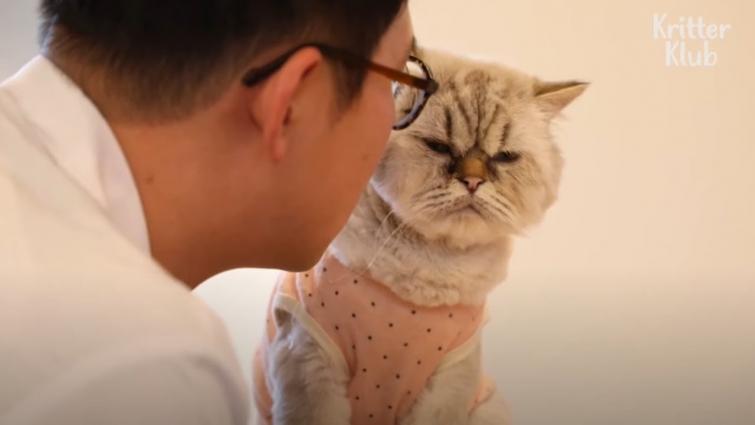 Can A Life With A Vet Be More Perfect? (Part 2) | Kritter Klub