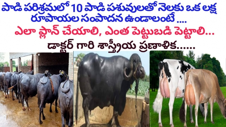 How to Earn Rs. one lakh per month in Dairy Farming, Plan and Investment Telugu | Dr. Madankumar Vet