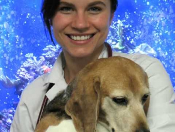 Kindness Animal Hospital  – Veterinarian Silver Spring, MD