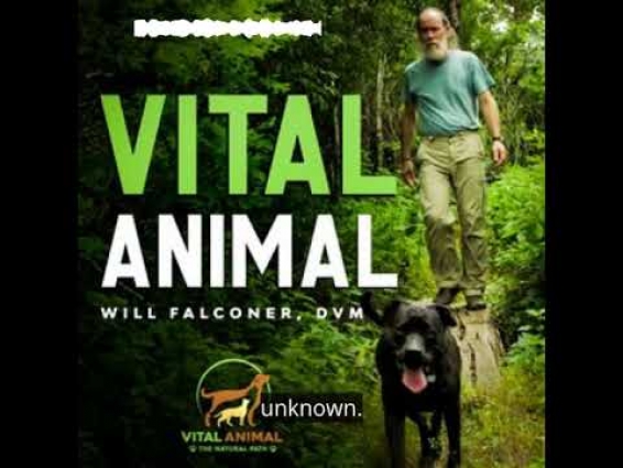 Vital Animal Intro