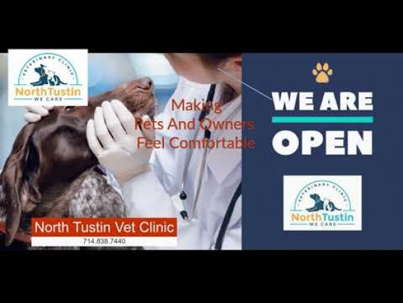 Branded Vet Video
