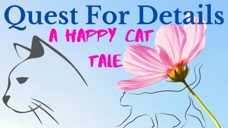 Good News !! A Happy Cat Story  !- Cat Rescue – Mission A success !!  By : Quest For Details