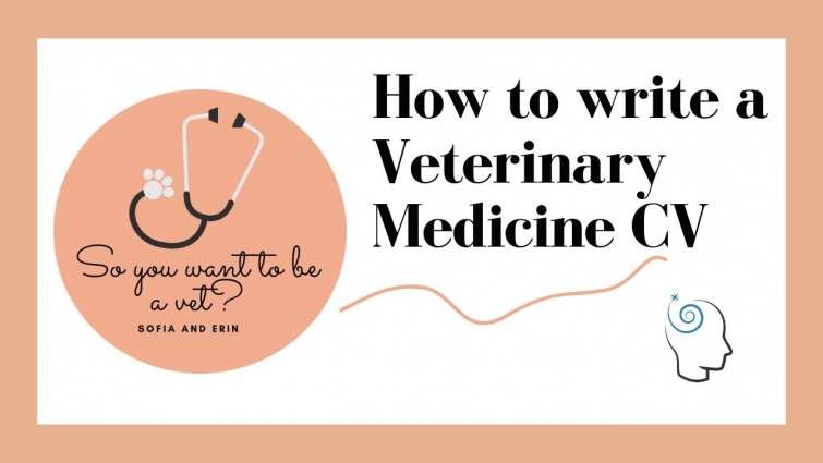 How to write a successful CV// Veterinary Medicine