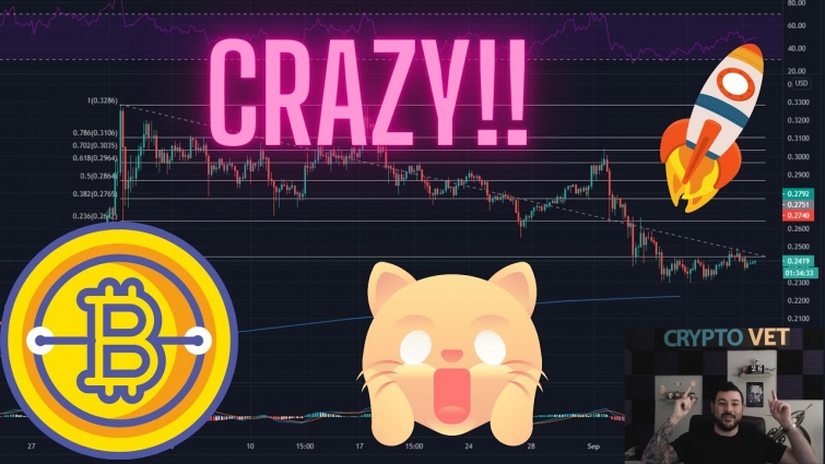 Stop!! Crazy BTC & XRP TA!!! This Bull Cycle is just starting…