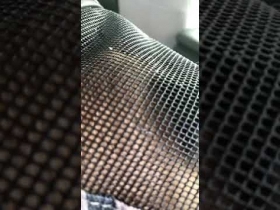 Scared about the vet