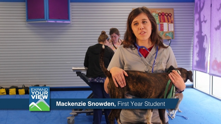 Do you love animals? Check out our Vet Tech Program at Mountwest!