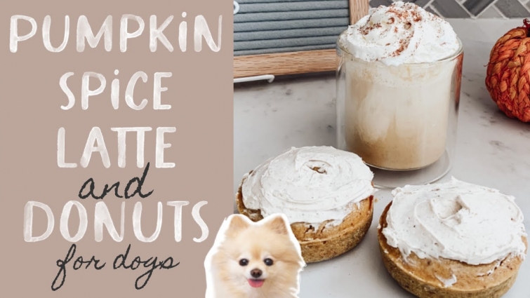 Pumpkin Spice Latte & Donuts for Dogs // DIY Dog Treat Recipe