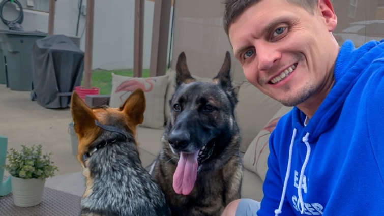 German Shepherds put on Vet Diet PLUS Surgery Day!