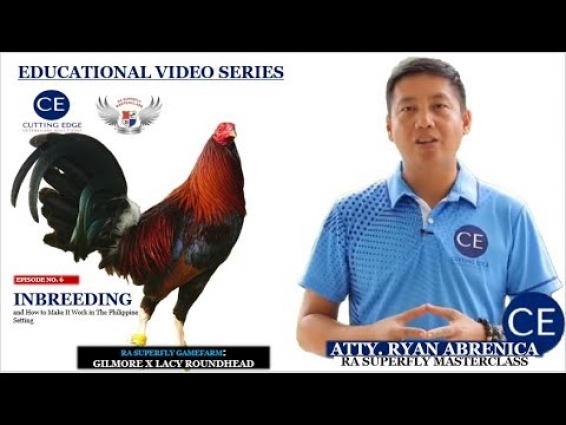 HOW TO DO INBREEDING IN THE PHILIPPINE SUCCESSFULLY | CUTTING EDGE VET SOLUTIONS | MASTERCLASS