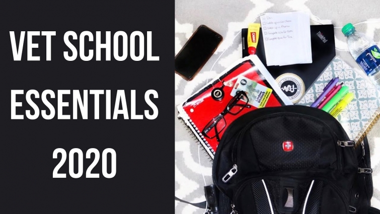 WHATS IN MY BAG? | VET SCHOOL ESSENTIALS | Dogtor Lindsey