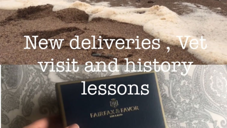 New deliveries , Vet visit and history lesson | CHLOE BARBER