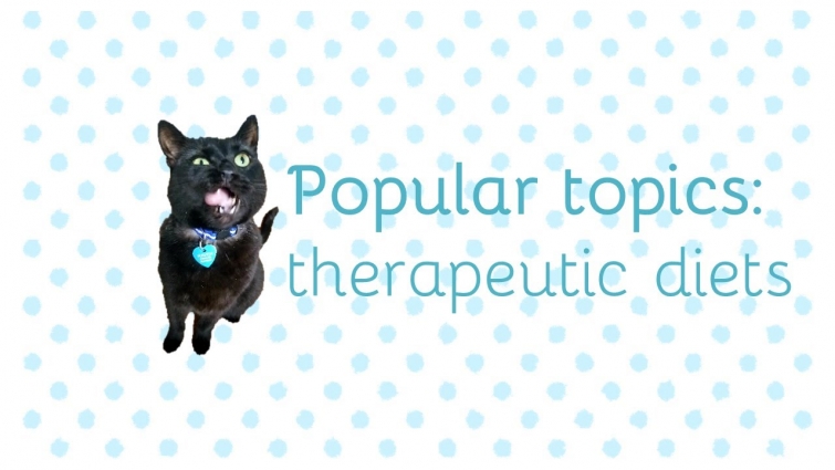 Therapeutic diets