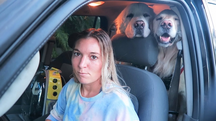 Family Vet Trip Goes Wrong
