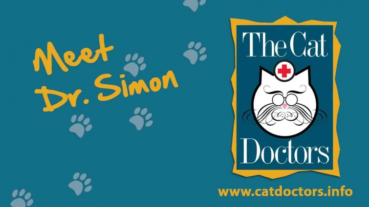 Tampa Veterinarian – Meet Dr. Simon (The Cat Doctors)