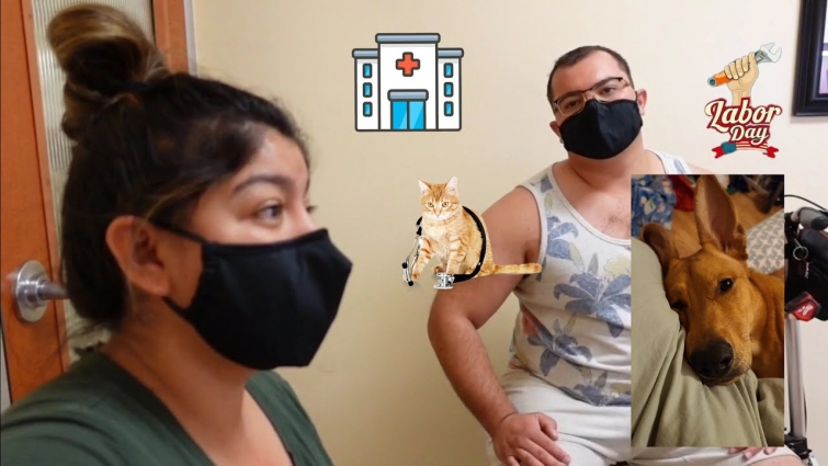 VLOG: Labor Day/ Valkyrie's ER vet visit!