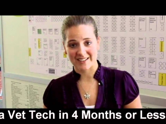 Why Become A Vet Tech