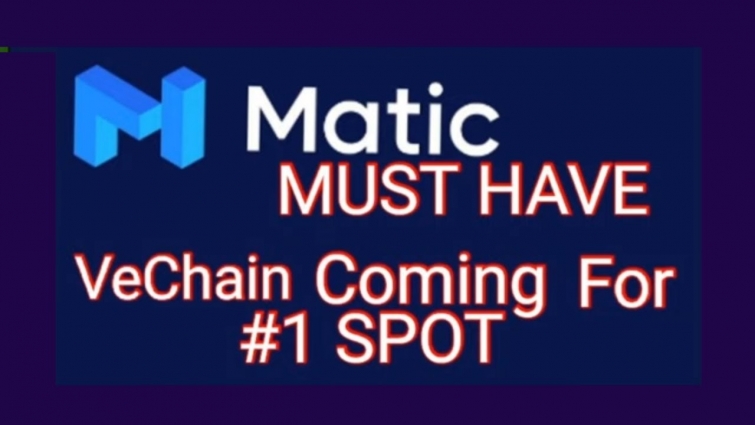 $0.01 #ZIL #MATIC $0.02 MUST HAVE … #VET COMING FOR # 1 SPOT … HERE COMES THE MONEY . WARNING
