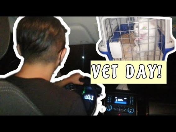 VET DAY! + REASON WHY WE NEED TO GO TO THE VET