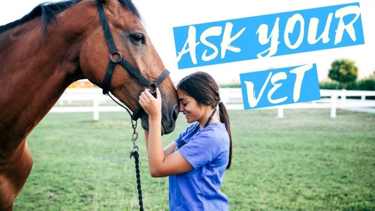 Horse Vet Questions? This "Ask Your Vet" Series will help you