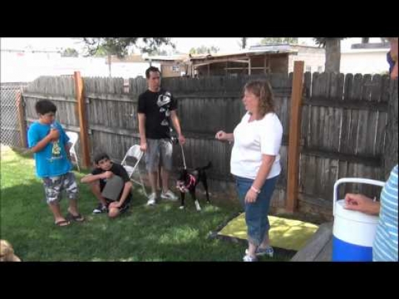 Puppy Kindergarten at Full Circle Veterinary Care