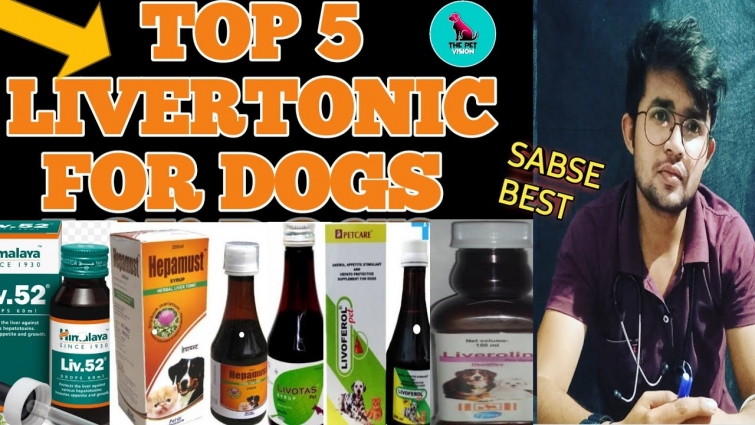liver tonic for dogs || how to give ? || Top Brands || Hindi || THE PET VISION || SAHIL MALIK (VET.)